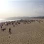 Santa Monica State Beach (SB) / Pacific Park Santa Monica Pier