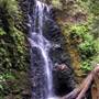 Big Basin Redwoods State Park (SP)