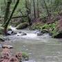 Sugarloaf Ridge State Park (SP)