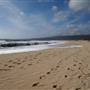 Half Moon Bay State Beach (SB)