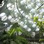 California Academy of Sciences