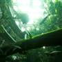 California Academy of Sciences