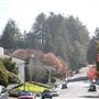 Humboldt State University