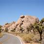 Joshua Tree National Park - NPS
