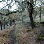 Trione-Annadel State Park (SP)