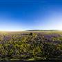 Carrizo Plain National Monument