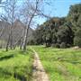 Tapia Park @ Malibu Creek State Park (SP)