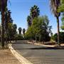 California Citrus State Historic Park (SHP)