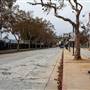 Roads and Surfaces at Exposition Park