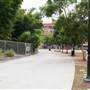 Roads and Surfaces at Exposition Park
