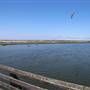 Bolsa Chica Ecological Reserve - California Department of Fish & Wildlife (CDFW)