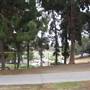 MacArthur Park and Tunnels