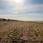 Sunset Beach