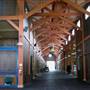El Campeon Farms - Windy Hill Ranch