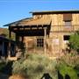 Windy Hill Ranch - El Campeon Farms