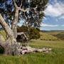 Fort Ord National Monument