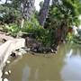 Los Angeles County Arboretum