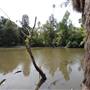 Los Angeles County Arboretum
