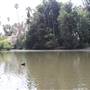 Los Angeles County Arboretum