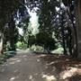 Los Angeles County Arboretum
