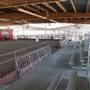 Kern County Fair - 15th DAA