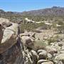 Desert View Conservation Area