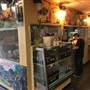 Union Discounts Swapmeet