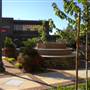 Auburn - Down Town