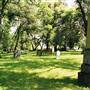 Gold Hill Cemetery
