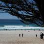 Carmel Beach