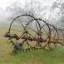 Dorrance Ranch