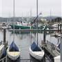 Monterey Fisherman's Wharf