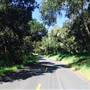 Iris Canyon Road