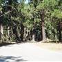 Jacks Peak Road / Jacks Peak Park