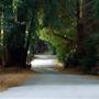 Julia Pfeiffer Burns State Park (SP) - McWay Falls - McWay Cove