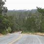 Monhollon Road