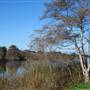 Laguna Grande Regional Park - Interagency / Monterey & Seaside