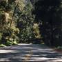 Olmstead Road
