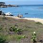 Pacific Grove
