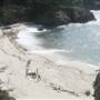 Point Lobos State Natural Reserve (SNR)