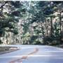 Skyline Drive