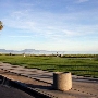 East Beach