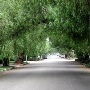 Claremont