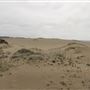 MacKerricher State Park (SP) - Inglenook Ten Mile Preserve - northern stretch - aka Ten Mile Dunes