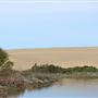 MacKerricher State Park (SP) - Inglenook Ten Mile Preserve - northern stretch - aka Ten Mile Dunes