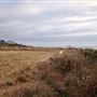 Westport Headlands