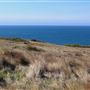 Navarro Point Preserve and Coastal Trail