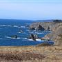 Navarro Point Preserve and Coastal Trail