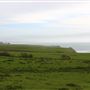 Newport Coastal Trail