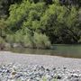 Russian River - US Route 101 -  Mendocino County